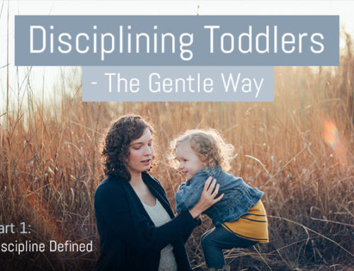 Discipline Your Toddler Effectively – The Gentle Way – Part 1