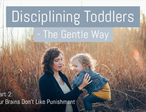 Discipline Your Toddler Effectively – The Gentle Way – Part 2